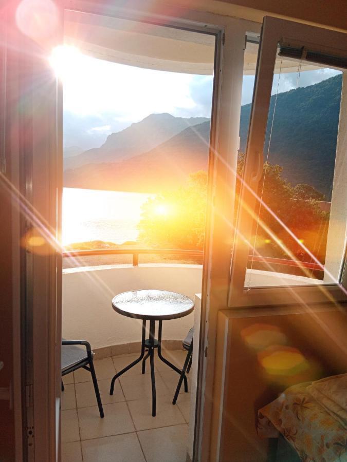 Studio Apartman D&S 普卢日内 外观 照片